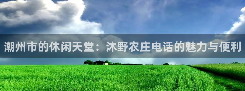 九游会正规网