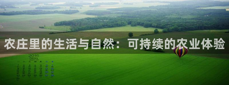 九游会贴吧