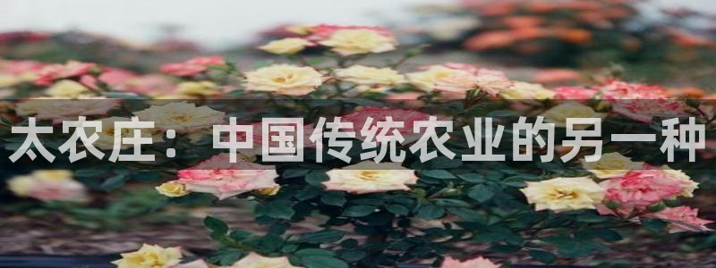 AG九游会官方首页