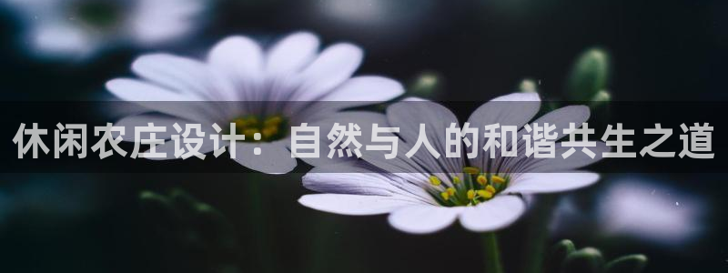 九游会黑网投