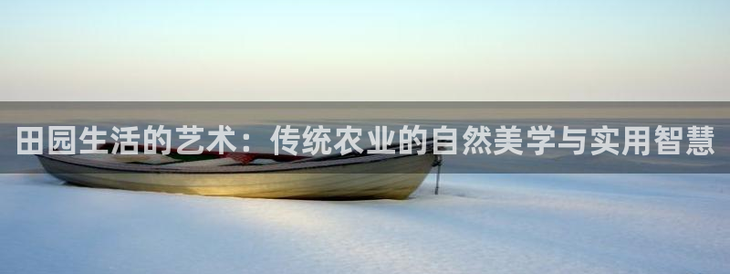 担保网九游会