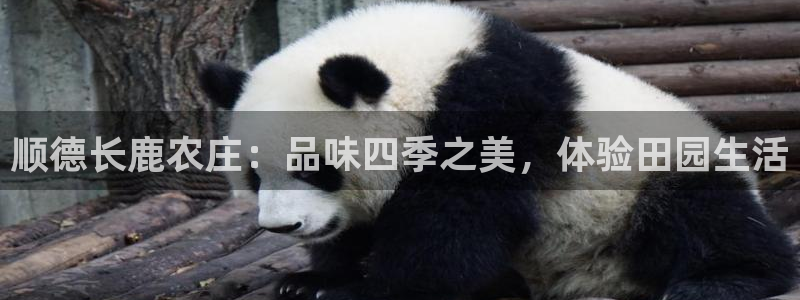 九游会能玩吗