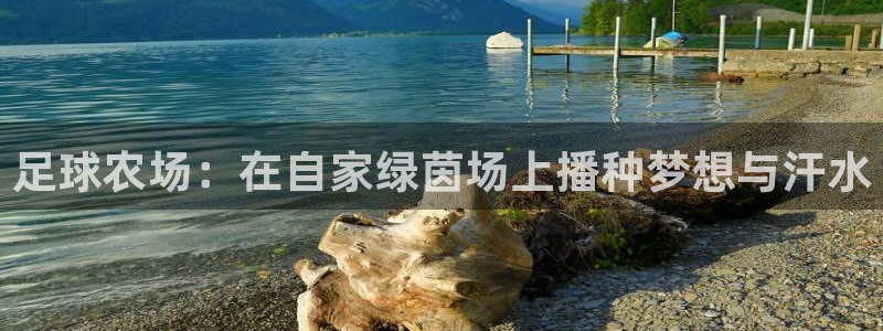 九游会积分王