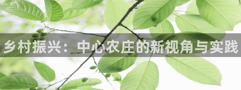 九游会小米