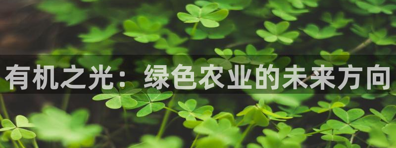 九游会论坛九哥