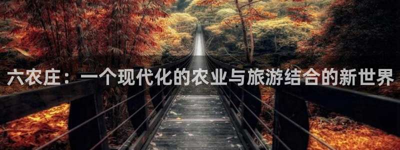 九游会投币入口