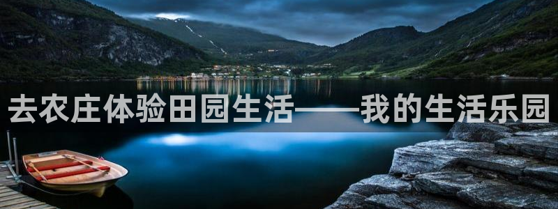 九游与九游会