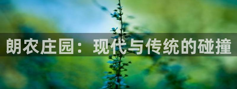 九游会数字货币