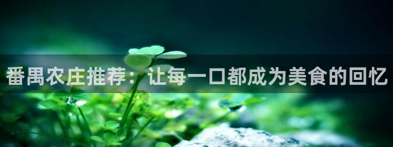 九游会买球