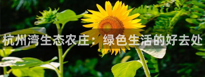 九游会游戏官网下载地址