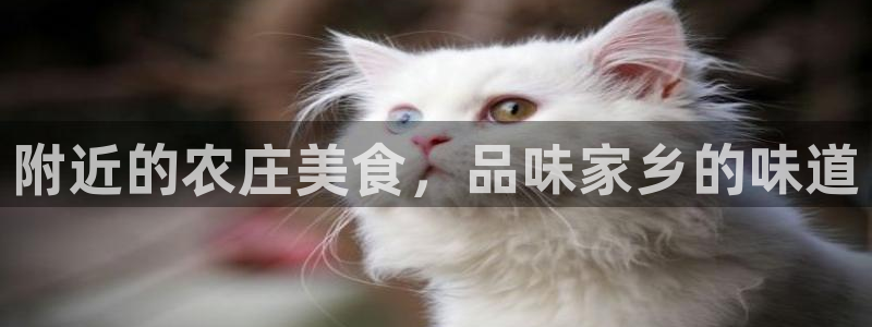 九游会现场