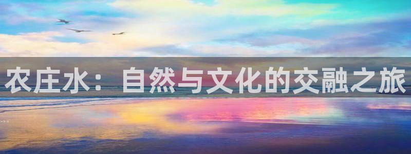 ag亚洲九游会登 口