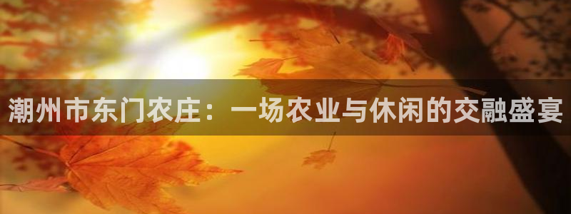 j9九游会国际版