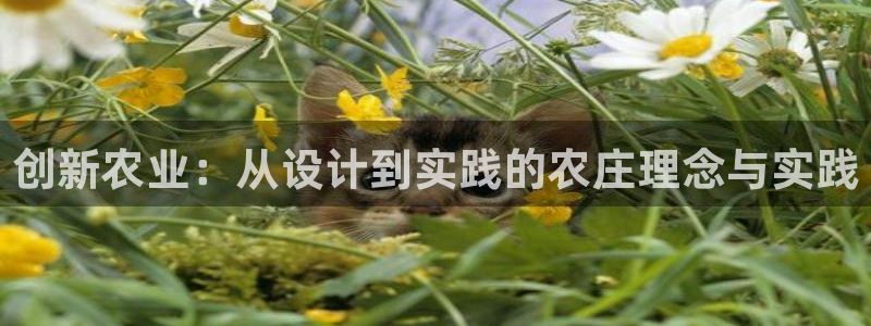 九游会彩票平台