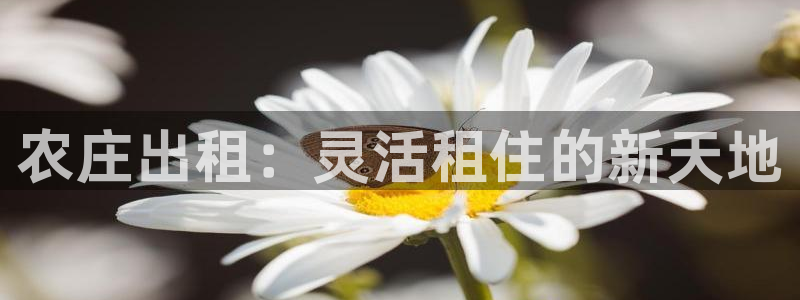 九游会官网平台是什么