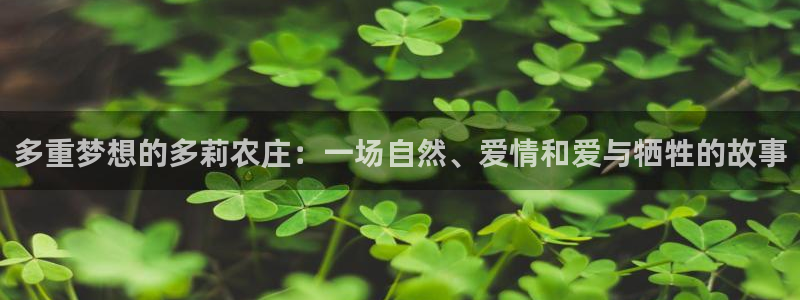 九游会体育投注