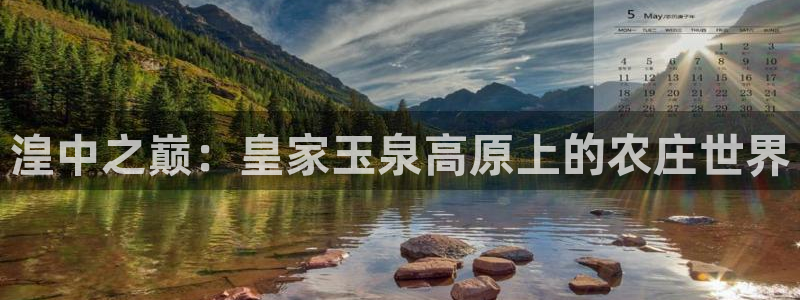 九游会j