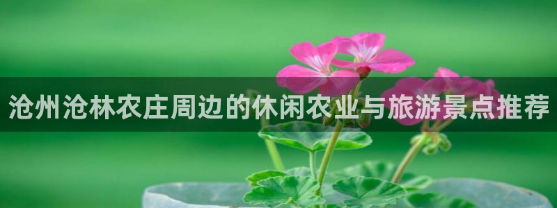 九游会网络