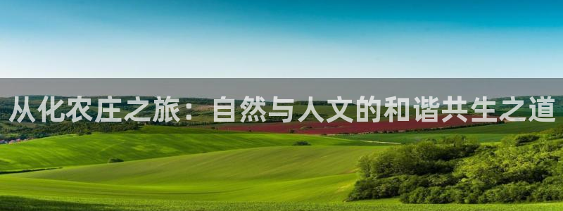 九游会ag棋牌