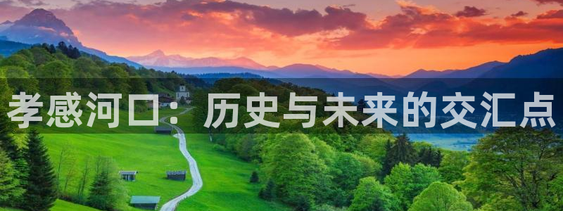 九游会ag8