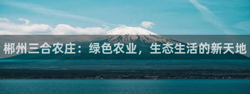 九游会官网网页版入口