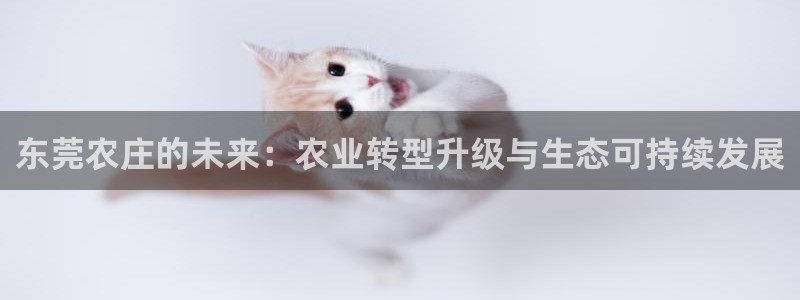 九游会游戏官网网页版