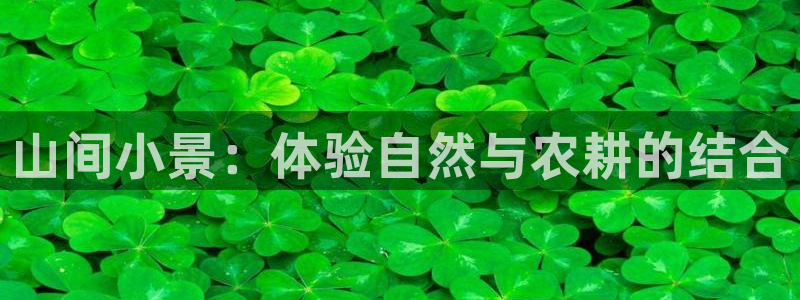 九游会电子