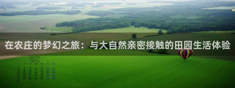 九游会双币