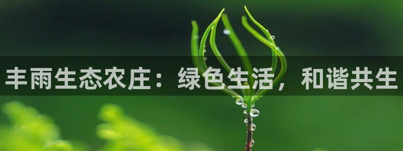 九游会j 9