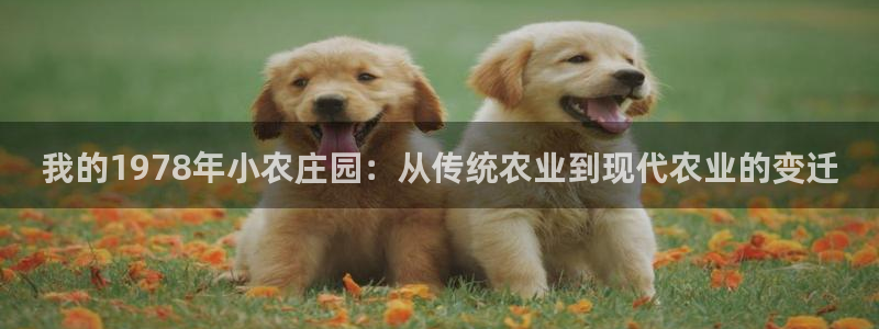 九游会体育-首页