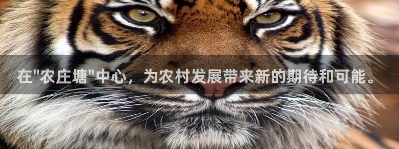 jd九游会