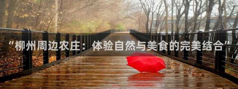 九游会j9不出款