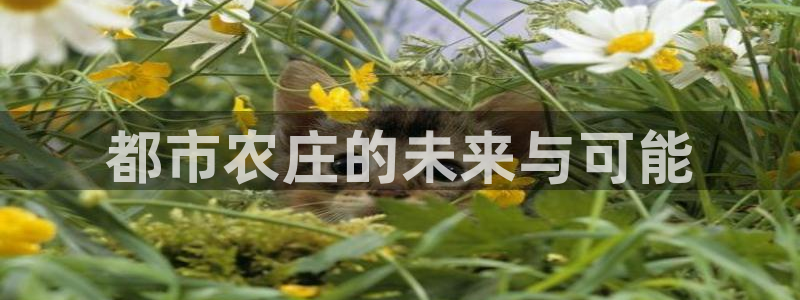 九游会倒闭