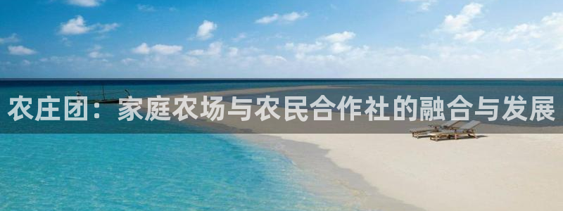 九游会网站赢了