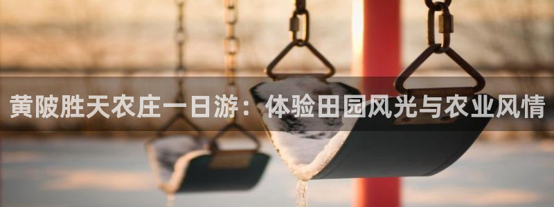 j9九游会app下载