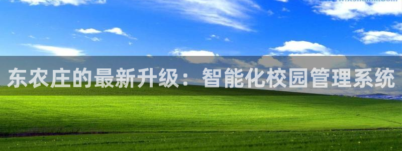 九游会博彩