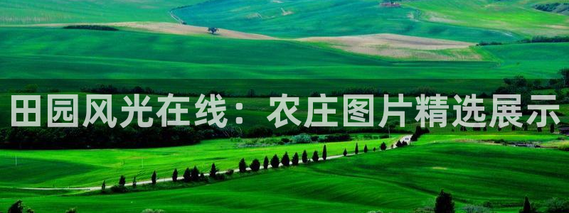 九游会j9官方登陆