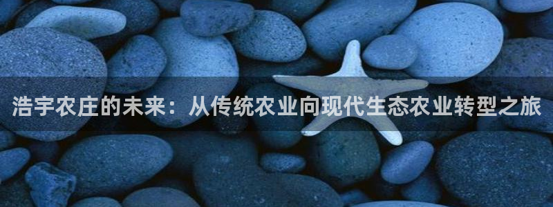 j9九游会赌场