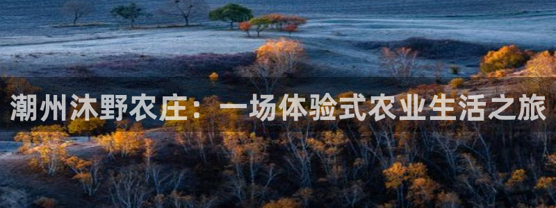 九游会网投