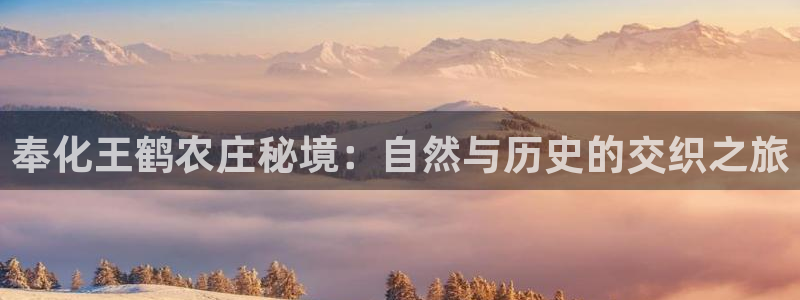 九游会充值