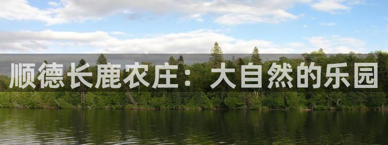 九游会ag官方网站