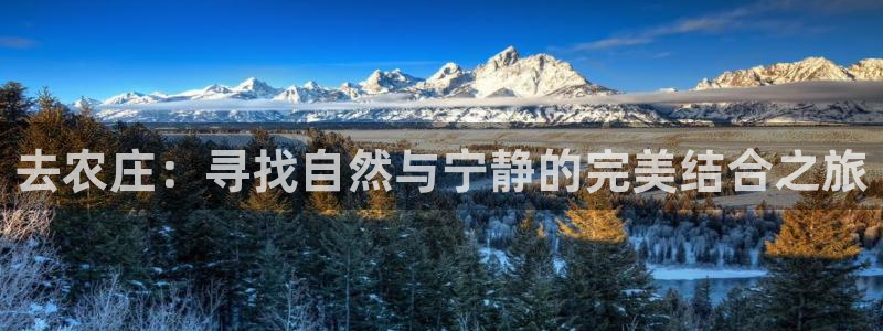 九游会网页版
