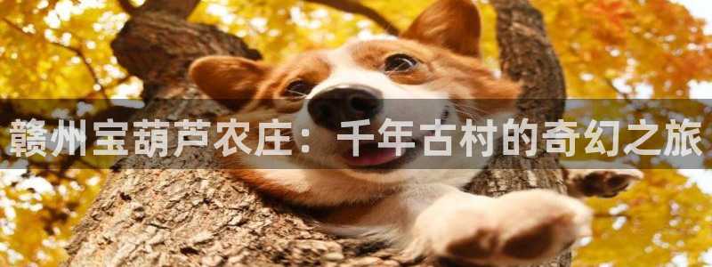 九游会贷款