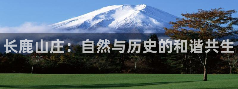 九游会游戏怎样充值
