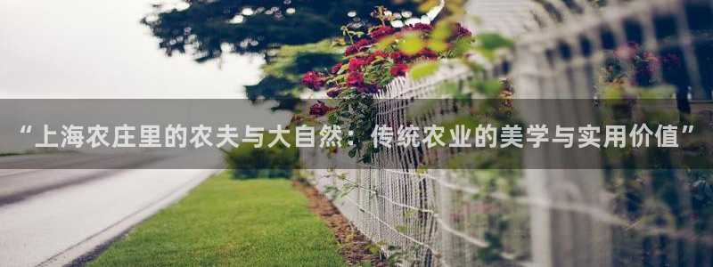 九游会公司