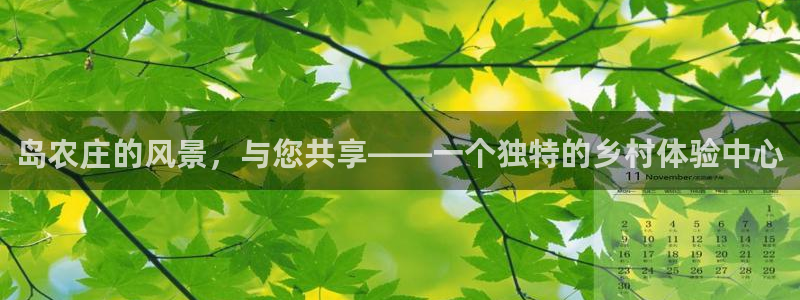 九游会网页版官网下载