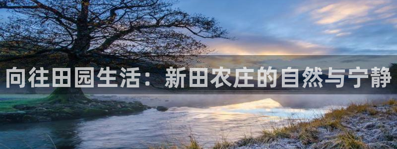 j9九游会提款稳定吗