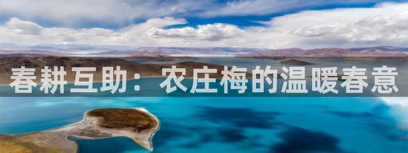AG九游会登陆网址