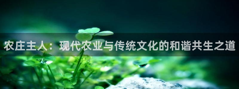 河曲九曲黄河灯游会作文