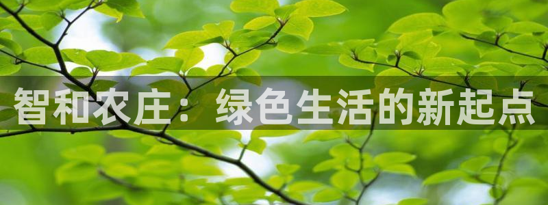 九游会登陆官方网站